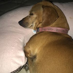 Meet your Posher, Erika